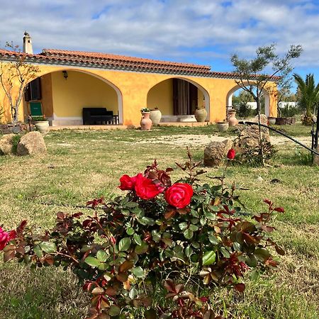 Villa Grecale Cala Liberotto Eksteriør bilde